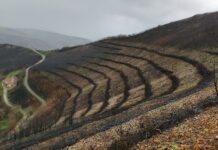 Medio Rural refuerza las obras de emergencia en Cangas del Narcea para contener los efectos de los incendios de 2025