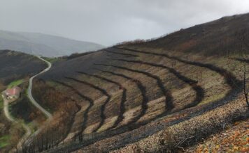 Medio Rural refuerza las obras de emergencia en Cangas del Narcea para contener los efectos de los incendios de 2025