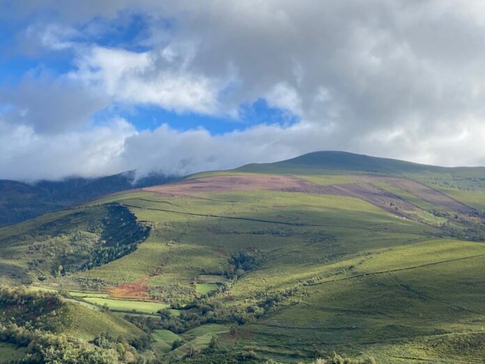 2026_02_14 paisaje pastos