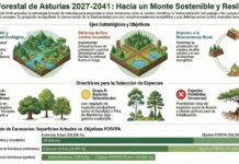 Medio Rural somete a información pública la evaluación ambiental estratégica del Plan de Ordenación de Recursos Forestales 2027/2041