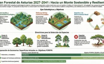 Medio Rural somete a información pública la evaluación ambiental estratégica del Plan de Ordenación de Recursos Forestales 2027/2041