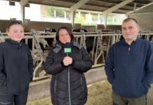 Entrevista a José Luis Ron, cotitular de Ganadería Valledor de Parada (Tineo)