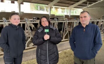 Entrevista a José Luis Ron, cotitular de Ganadería Valledor de Parada (Tineo)