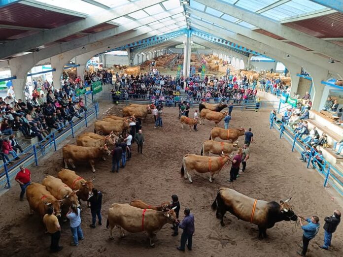 nacional-asturianavalles25