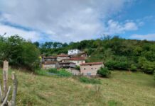 El Gobierno de Asturias refuerza la protección de la interfaz urbanoforestal con 5 millones en ayudas directas a los ayuntamientos