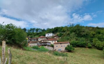 El Gobierno de Asturias refuerza la protección de la interfaz urbanoforestal con 5 millones en ayudas directas a los ayuntamientos