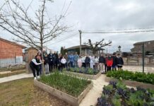 El huerto escolar ecológico, protagonista de una jornada de hermanamiento en Lugones