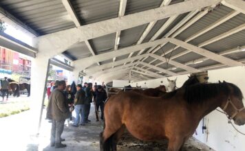 Tineo celebrará una nueva edición de la Feria de San José el 19 de marzo