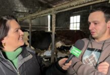 Entrevista a Jaime Vallina Sánchez, cotitular de Ganadería La Corba de Nava