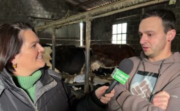 Entrevista a Jaime Vallina Sánchez, cotitular de Ganadería La Corba de Nava