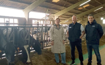 Medio Rural destina 450.000 euros a financiar los servicios de sustitución temporal de personal en explotaciones agrarias