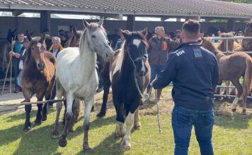 El Ayuntamiento de Llanera abre el plazo de inscripción para la exposición de maquinaria y productos agroganaderos de la feria de San Isidro
