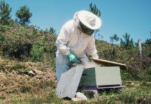 El Principado apoya con más de 450.000 al sector de la apicultura
