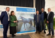 Maeza presenta la obra que ilustra el cartel del VI Concurso de Saltos Internacional