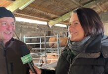 Eulogio López Rubio, titular de Ganadería Queipo de Combarcio (Tineo)