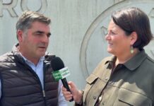 Entrevista a Nino Rodríguez, presidente de ASEAMO