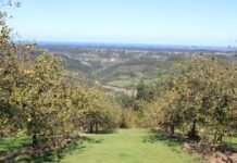 Medio Rural abona más de 2,1 millones en subvenciones de la PAC, que benefician a 657 agricultores y ganaderos