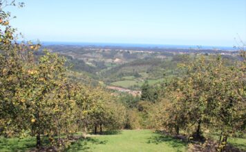 Medio Rural abona más de 2,1 millones en subvenciones de la PAC, que benefician a 657 agricultores y ganaderos