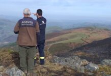 Asturias pone a prueba la respuesta coordinada ante los incendios forestales de gran escala