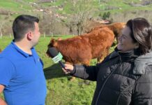 Entrevista a Luis de la Vega de Ganadería Luisín de La Robellada (Onís)