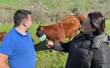 Entrevista a Luis de la Vega de Ganadería Luisín de La Robellada (Onís)