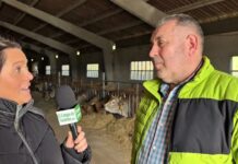 Entrevista a Víctor Morán, empresario y ganadero en La Robellada (Onís)