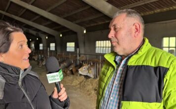 Entrevista a Víctor Morán, empresario y ganadero en La Robellada (Onís)