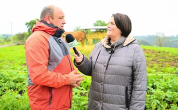 Entrevista a Cesáreo Eijo Canoura, ganadero y hostelero