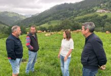 Medio Rural financia con 450.000 euros los servicios de asesoramiento técnico de 708 explotaciones agrarias