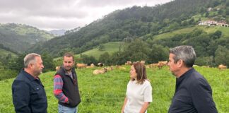 Medio Rural financia con 450.000 euros los servicios de asesoramiento técnico de 708 explotaciones agrarias