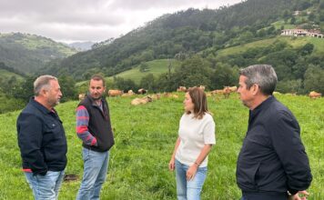 Medio Rural financia con 450.000 euros los servicios de asesoramiento técnico de 708 explotaciones agrarias
