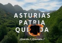 El Gobierno del Principado lanza una campaña institucional que apela a la responsabilidad ciudadana para evitar los incendios forestales