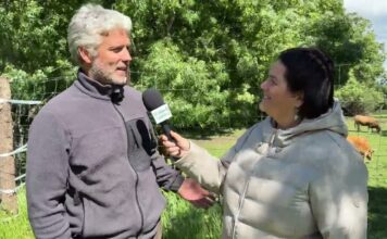 Entrevista a Francisco López Baonza, ganadero de Asturiana de los Valles en Valdemanco (Madrid)