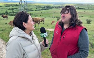 Entrevista a Pedro Burgos, ganadero de Asturiana de los Valles de Torrecaballeros (Segovia)