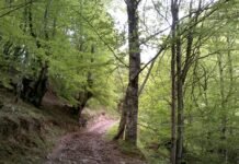 Huella Cero Asturias anima a las empresas agrarias y agroalimentarias a participar en una estrategia común de sostenibilidad para el medio rural asturiano