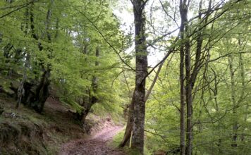 Huella Cero Asturias anima a las empresas agrarias y agroalimentarias a participar en una estrategia común de sostenibilidad para el medio rural asturiano