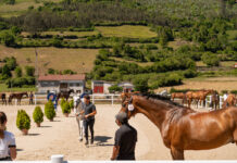 Todo listo para el arranque del CSI Maeza
