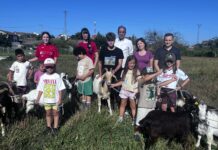 Llanera pone el pie en el estribo con 273 preinscripciones para su I Concurso-Exposición de Ganado Equino