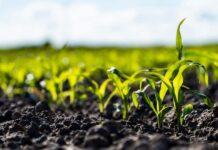 Se anuncia un Plan Estatal de Fertilizantes para el primer trimestre de 2027, que se suma a los 1.100 millones de euros movilizados para el sector primario por la crisis de Oriente Medio