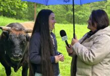 Entrevista a Lidia Farrona, responsable de Marketing de Findmy y José Alberto González, ganadero de La Foz (Caso)