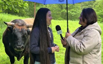 Entrevista a Lidia Farrona, responsable de Marketing de Findmy y José Alberto González, ganadero de La Foz (Caso)