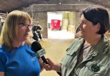 Entrevista a Cheli, titular de la Ganadería Casa Luis en Agüera de Trasmonte (Las Regueras)