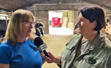 Entrevista a Cheli, titular de la Ganadería Casa Luis en Agüera de Trasmonte (Las Regueras)