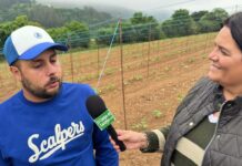 Entrevista a Raúl Rabatti, productor de IGP Faba Asturiana en Anzas (Tineo)
