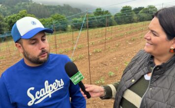 Entrevista a Raúl Rabatti, productor de IGP Faba Asturiana en Anzas (Tineo)