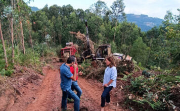 Medio Rural destina 9,7 millones a modernizar y reforzar la competitividad de la industria agroalimentaria y forestal
