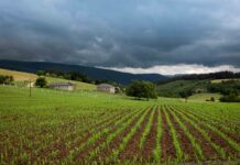 Medio Rural destina 300.000 euros a la modernización de explotaciones agrarias a través de las entidades asociativas