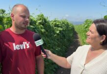 Entrevista a Iván Fernández, productor de IGP Faba Asturiana en Barcia (Valdés)