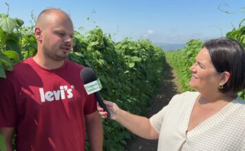 Entrevista a Iván Fernández, productor de IGP Faba Asturiana en Barcia (Valdés)
