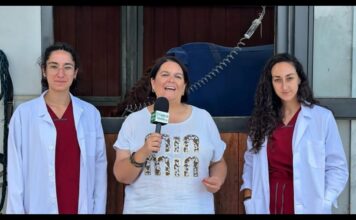 Entrevista a Amparo García y Andrea Da Silva, veterinarias de Clínica Equina Maeza